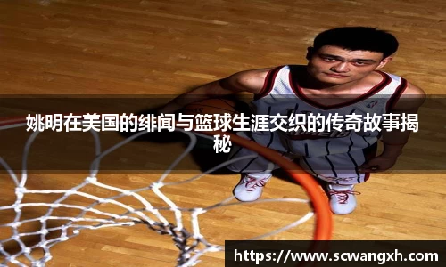 好博官网