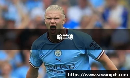 哈兰德