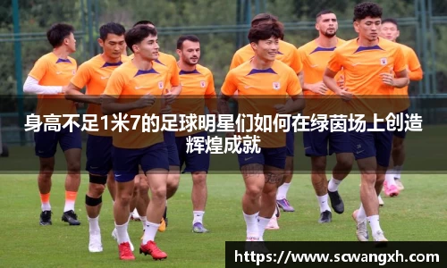 身高不足1米7的足球明星们如何在绿茵场上创造辉煌成就