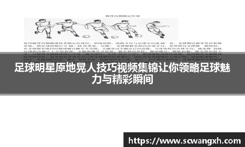 bsports必一运动官网